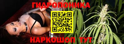 ГАЛЛЮЦИНОГЕННЫЕ ГРИБЫ Кандалакша